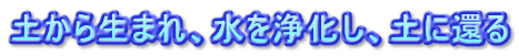 y琶܂A򉻂AyɊ҂