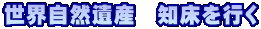 世界自然遺産 知床を行く