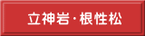 立神岩・根性松 