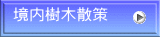 境内樹木散策 