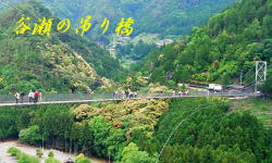 南紀・熊野古道の名所・世界遺産を探訪する